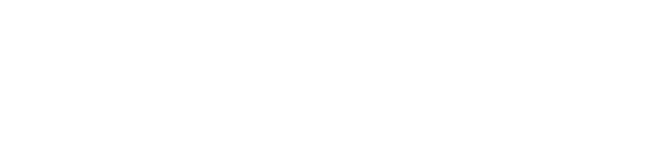 Xenon Connect Logo
